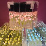 InfinityLove™ I Tulipanes Infinitos